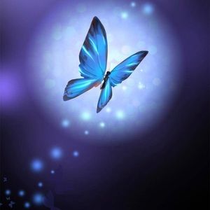 Meet your Posher, Sophia